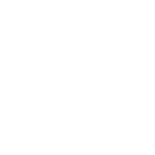 Custom Website